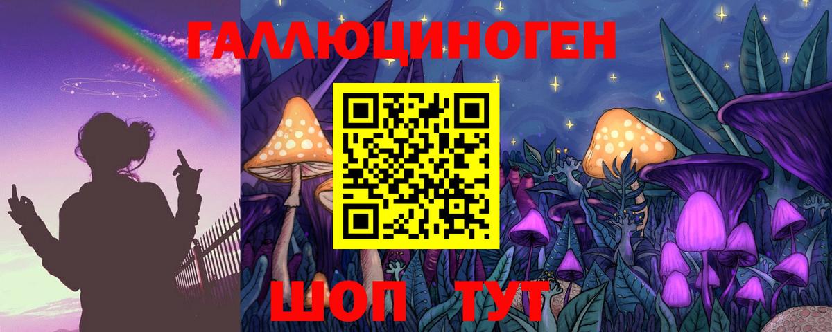 Псилоцибиновые грибы Psilocybe  Псилоцибиновые грибы мицелий  Кольчугино  Вход с VPN 